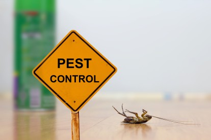 Pest Contol in Holland Park, W11. Call Now 020 8166 9746