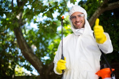 Electronic Pest Control, Pest Control in Holland Park, W11. Call Now 020 8166 9746
